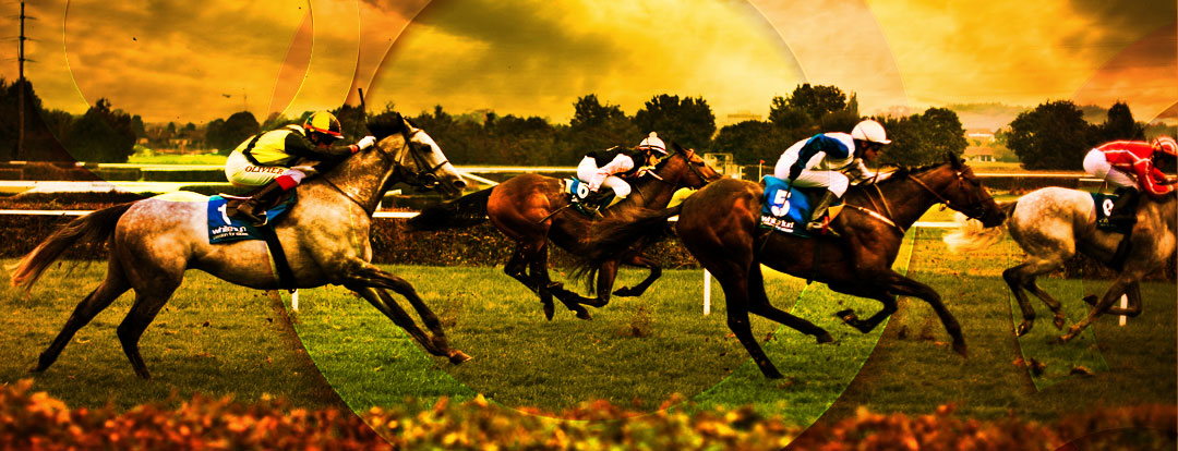 Horse Racing